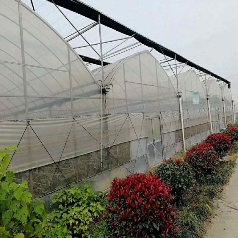 萊州溫室工程