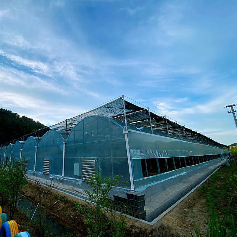 萊州溫室工程